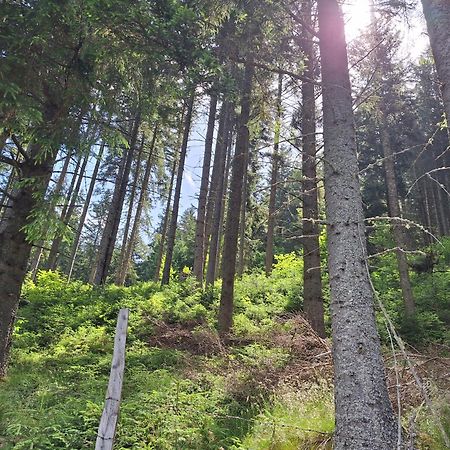 Naturpark Bauernhof Sperl Mariahof ภายนอก รูปภาพ
