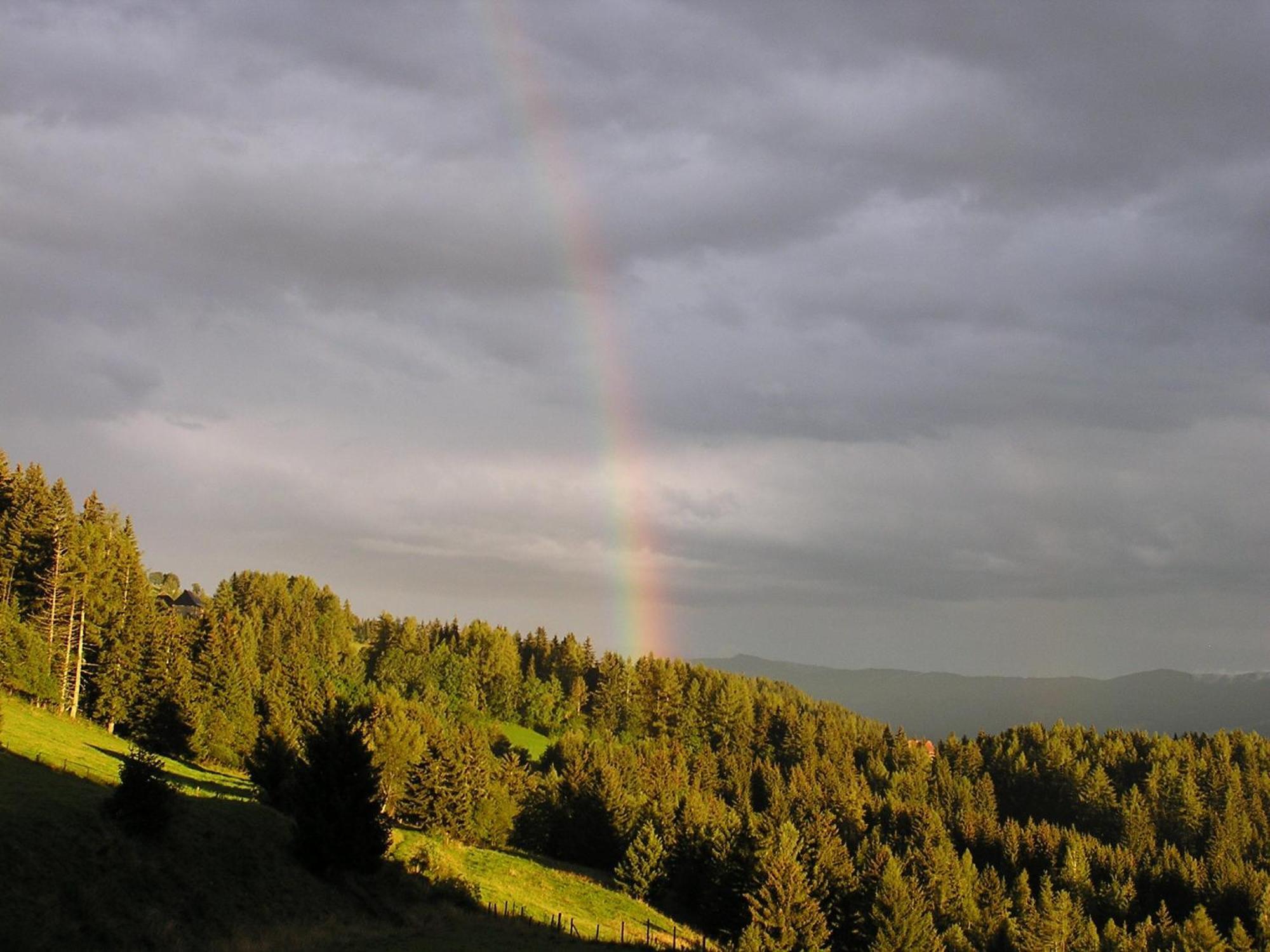Naturpark Bauernhof Sperl Mariahof ภายนอก รูปภาพ