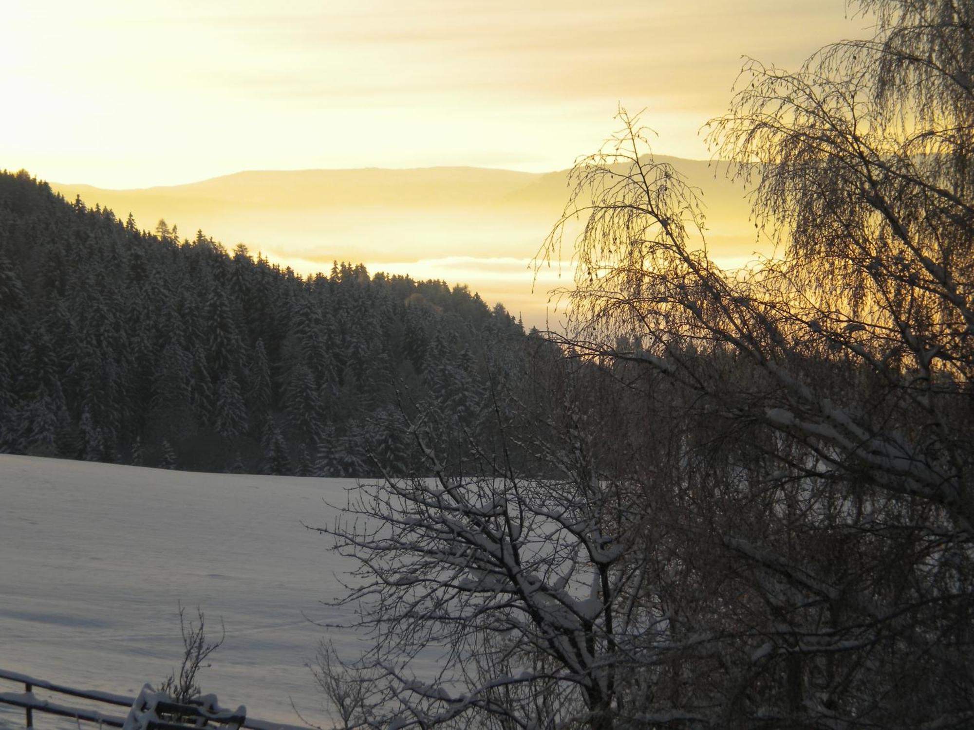 Naturpark Bauernhof Sperl Mariahof ภายนอก รูปภาพ