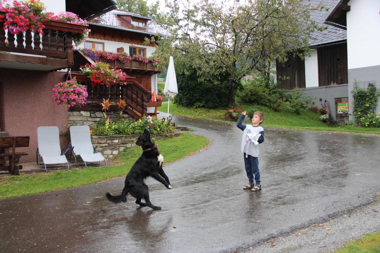 Naturpark Bauernhof Sperl Mariahof ภายนอก รูปภาพ