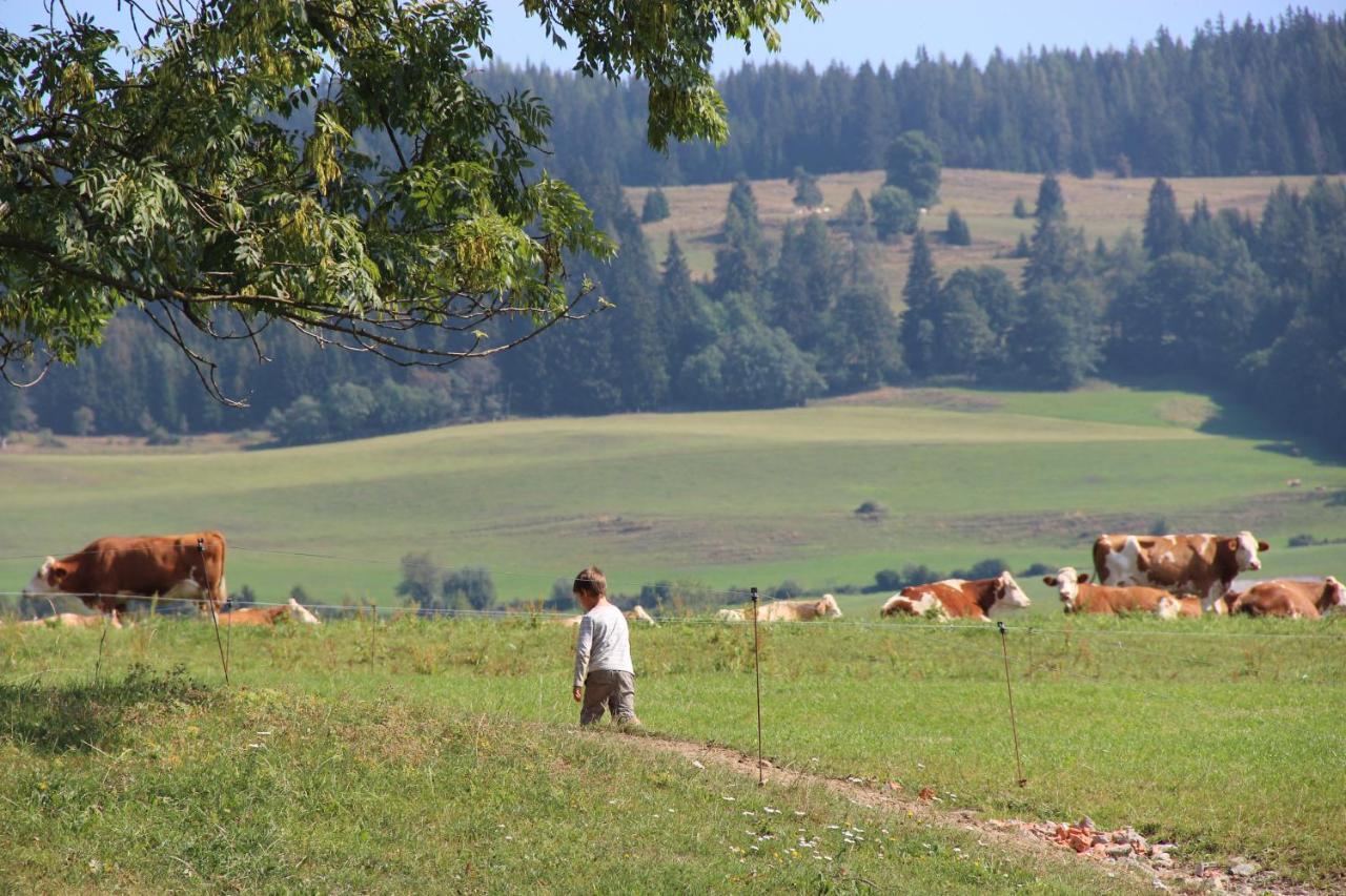 Naturpark Bauernhof Sperl Mariahof ภายนอก รูปภาพ
