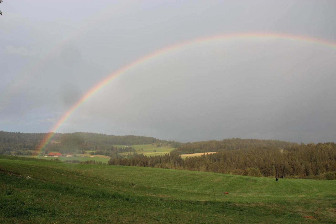 Naturpark Bauernhof Sperl Mariahof ภายนอก รูปภาพ